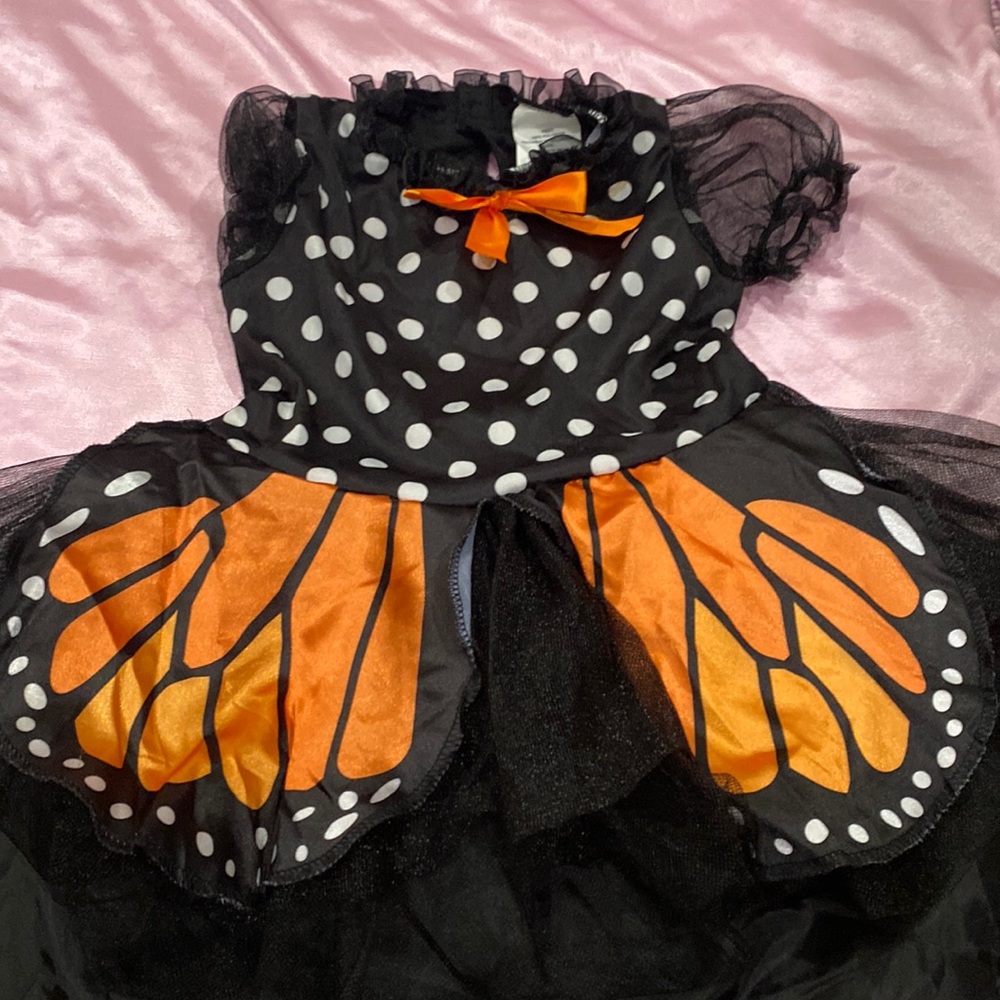 Butterfly costume